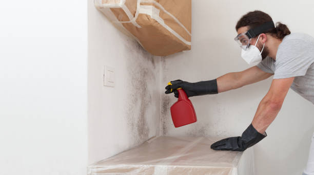 Professional Bathroom Mold Removal technician working in Rosedale, MD